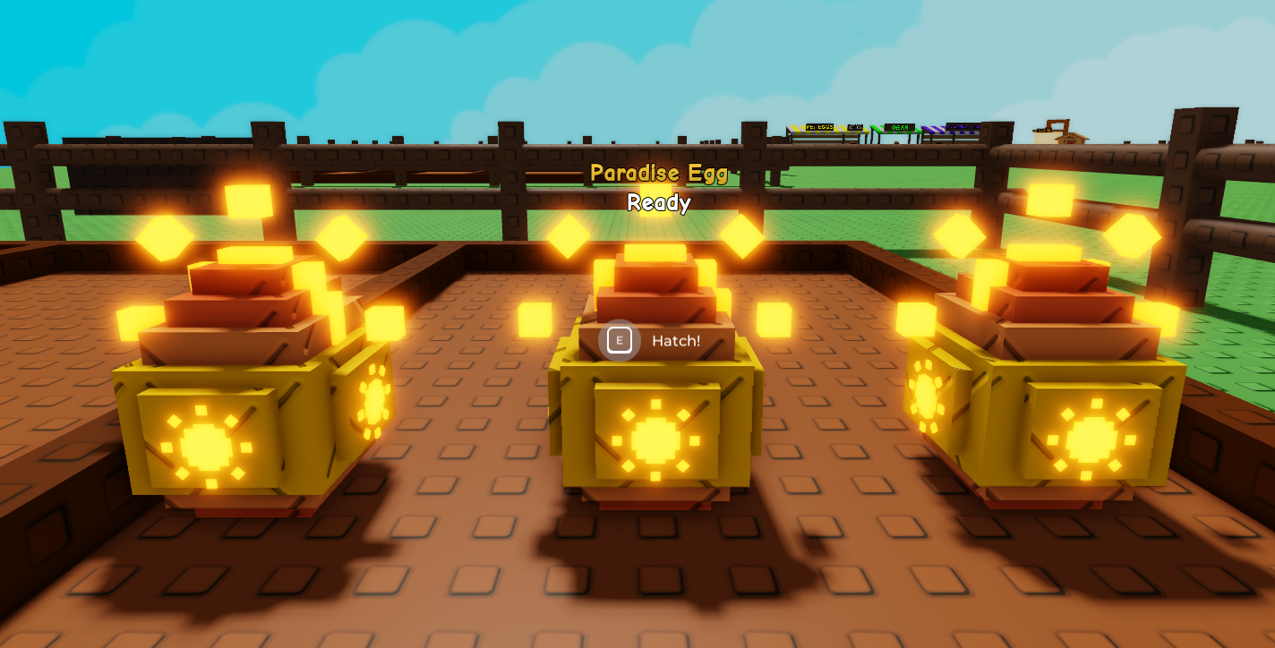 ACC X3 EGG PARADISE