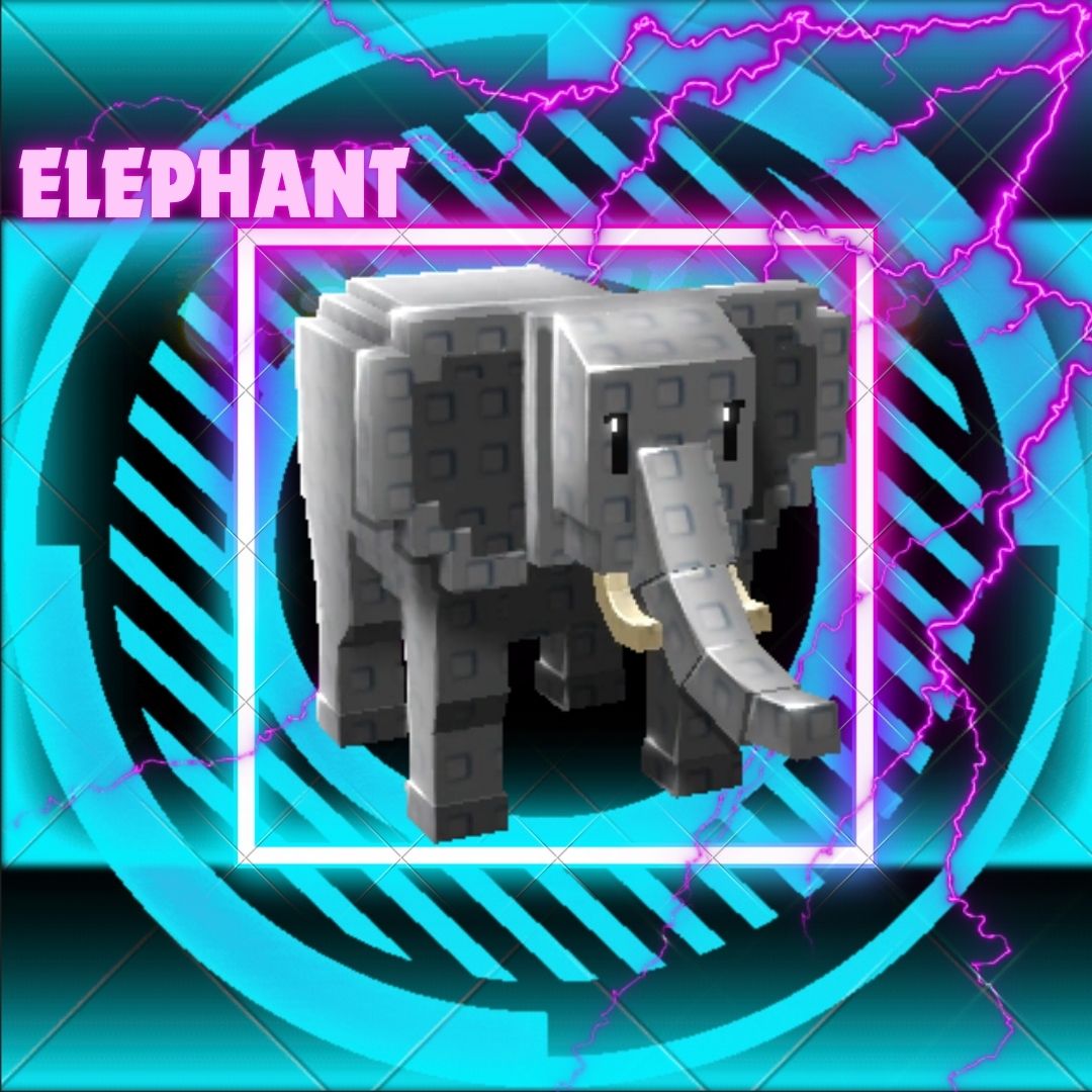 Elephant