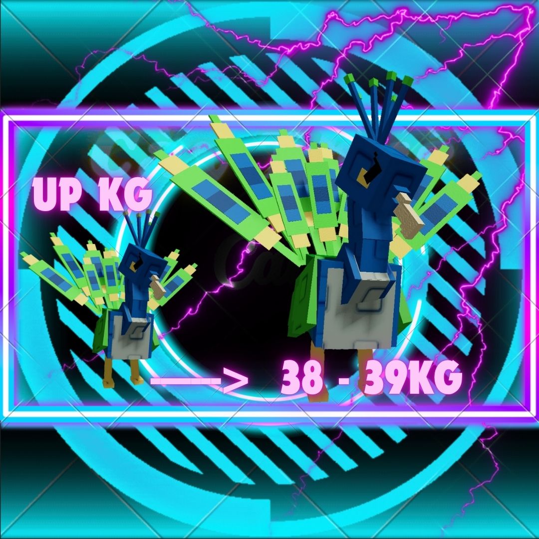 UP KG ----> 38 - 39KG
